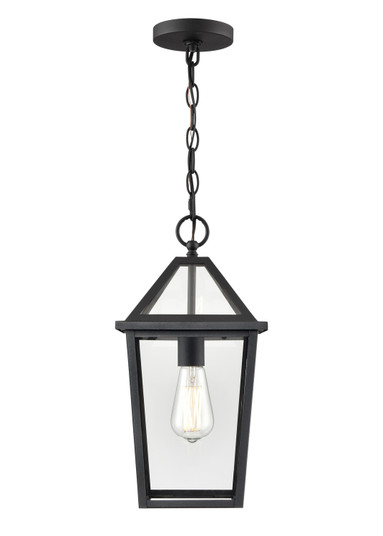 Eston One Light Outdoor Hanging Lantern in Textured Black (59|91401-TBK)
