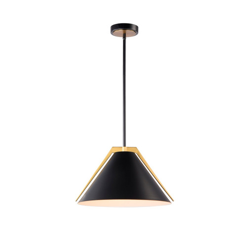 Baltic One Light Pendant in Black and Brushed Brass (78|AC11910BK)
