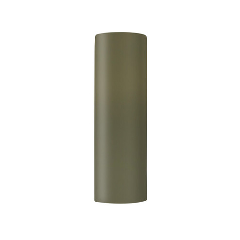 Ambiance LED Outdoor Wall Sconce in Matte Green (102|CER-5409W-MGRN)