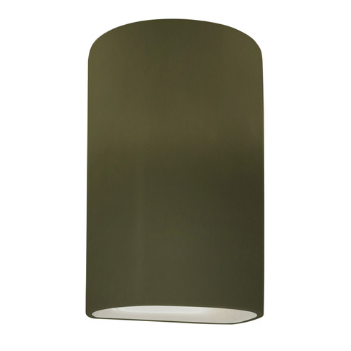 Ambiance One Light Outdoor Wall Sconce in Matte Green (102|CER-1260W-MGRN)
