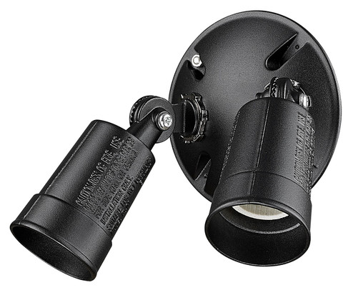 Floodlights Two Light Floodlight in Black (106|FL1BK)