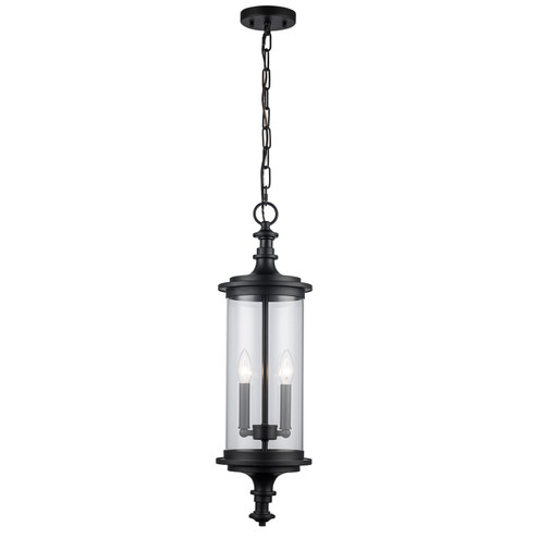 PathLume Two Light Outdoor Pendant in Black (110|51704 BK) PathLume Two Light Outdoor Pendant in Black (110|51704 BK)