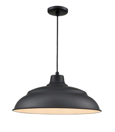 R Series One Light Pendant in Satin Black (59|RALWHC20-SB)