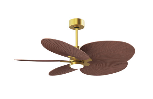Alessandra TROPICAL - LK 48'' Ceiling Fan in Brushed Brass (101|AKTPLK-BRBR-WN)