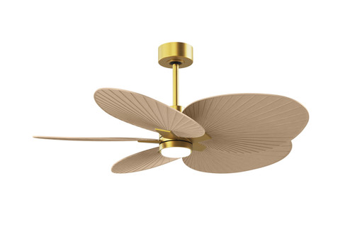 Alessandra TROPICAL - LK 48''Ceiling Fan in Brushed Brass (101|AKTPLK-BRBR-LM) Alessandra TROPICAL - LK 48''Ceiling Fan in Brushed Brass (101|AKTPLK-BRBR-LM)