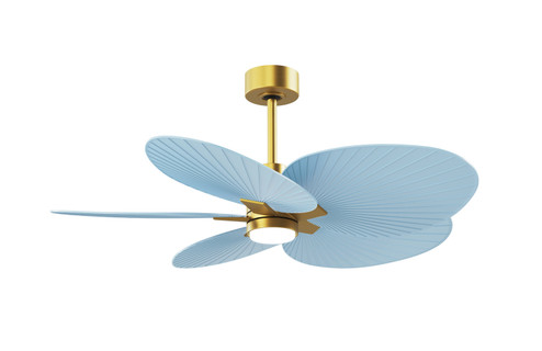 Alessandra TROPICAL - LK 48''Ceiling Fan in Brushed Brass (101|AKTPLK-BRBR-BL)