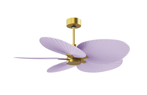 Alessandra TROPICAL 48''Ceiling Fan in Brushed Brass (101|AKTP-BRBR-LI) Alessandra TROPICAL 48''Ceiling Fan in Brushed Brass (101|AKTP-BRBR-LI)