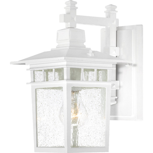 Cove Neck One Light Wall Lantern in White (72|60-4951)
