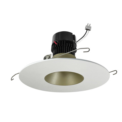 LED Retrofit Reflector in Champagne Haze / Matte Powder White (167|NPRLV-56RNDCCDXCHMPW)