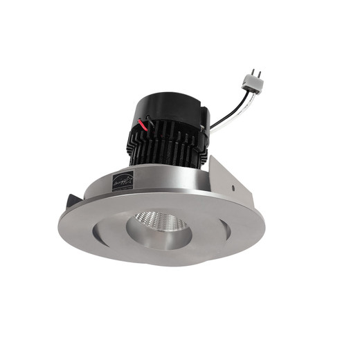 LED Retrofit in Natural Metal (167|NPRLV-4RGCDXNN)