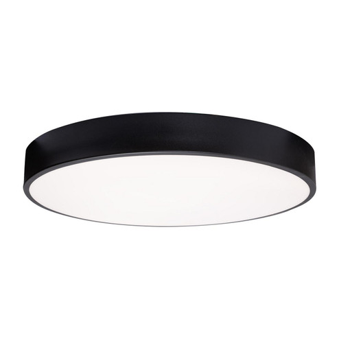 Bailey LED Flush Mount in Black (162|BAYF19LAJUDBK)