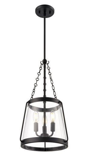 Adabella Three Light Pendant in Matte Black (59|21403-MB)