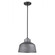 Barnes One Light Pendant in Gray (106|1655GY)