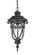 Naples One Light Hanging Lantern in Matte Black (106|2116BK)