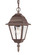 Builders` Choice One Light Hanging Lantern in Burled Walnut (106|4006BW)