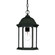 Madison One Light Hanging Lantern in Matte Black (106|5186BK)