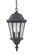 Telfair Two Light Hanging Lantern in Matte Black (106|5516BK)