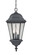 Telfair Three Light Hanging Lantern in Matte Black (106|5526BK)