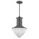 Skylar One Light Pendant in Ash (106|IN21375ASH)