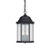 Main Street Three Light Outdoor Hanging Lantern in Black (65|9836BK)