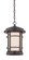 Barrister LED Hanging Lantern in Burnished Bronze (43|LED22434-BNB)