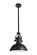 Eamon One Light Pendant in Oil Rubbed Bronze (173|LD5001D13ORB)