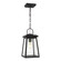 Founders One Light Outdoor Pendant in Black (454|6248401EN3-12)