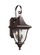 Oakmont Two Light Outdoor Wall Lantern in Patina Bronze (454|OL13101PTBZ)