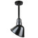 Warehouse One Light Pendant in Black (381|H-QSN18110-SA-91/QSN12``ST3-91/QSNHDSMC-91)