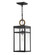 Porter LED Hanging Lantern in Black (13|2802BK-LL)