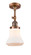 Franklin Restoration One Light Semi-Flush Mount in Antique Copper (405|201F-AC-G191)