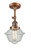 Franklin Restoration LED Semi-Flush Mount in Antique Copper (405|201F-AC-G534-LED)