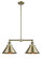 Franklin Restoration Two Light Island Pendant in Antique Brass (405|209-AB-M10-AB)