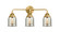 Nouveau 2 LED Bath Vanity in Satin Gold (405|288-3W-SG-G58-LED)