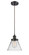 Ballston Urban One Light Mini Pendant in Oil Rubbed Bronze (405|916-1P-OB-G42)