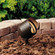 One Light Accent in Textured Architectural Bronze (12|15381AZT)