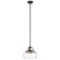 Davenport One Light Pendant/Semi Flush Mount in Olde Bronze (12|43903OZ)