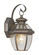 Monterey One Light Outdoor Wall Lantern in Bronze (107|2051-07)