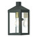 Nyack One Light Outdoor Wall Lantern in Bronze w/ Antique Brass Cluster and Polished Chrome Stainless Steel (107|20581-07)