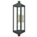 Nyack Two Light Outdoor Wall Lantern in Bronze w/ Antique Brass Cluster and Polished Chrome Stainless Steel (107|20583-07)