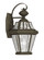 Georgetown One Light Outdoor Wall Lantern in Bronze (107|2161-07)