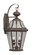 Georgetown Two Light Outdoor Wall Lantern in Bronze (107|2261-07)