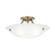 Oasis Three Light Ceiling Mount in Antique Brass (107|4273-01)