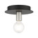 Hillview One Light Flush Mount in Black w/ Brushed Nickels (107|45871-04)