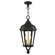 Morgan Two Light Outdoor Pendant in Bronze w/ Antique Gold Cluster (107|76189-07)