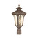 Oxford One Light Outdoor Post-Top Lanterm in Hand Applied Imperial Bronze (107|7655-58)
