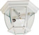 Crown Hill Three Light Outdoor Ceiling Mount in White (16|1029WT)