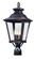 Knoxville Three Light Outdoor Pole/Post Lantern in Bronze (16|1131CLBZ)