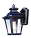 Knoxville One Light Outdoor Wall Lantern in Bronze (16|1133CLBZ)