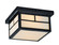 Coldwater Two Light Outdoor Ceiling Mount in Black (16|4059WTBK)